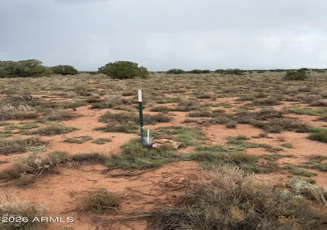 Photo 4 of Land for sale at 3253 S Laguna Dr #31, Williams, AZ 86046 | MLS# 7075496 | Listing updated on 2026-09-03