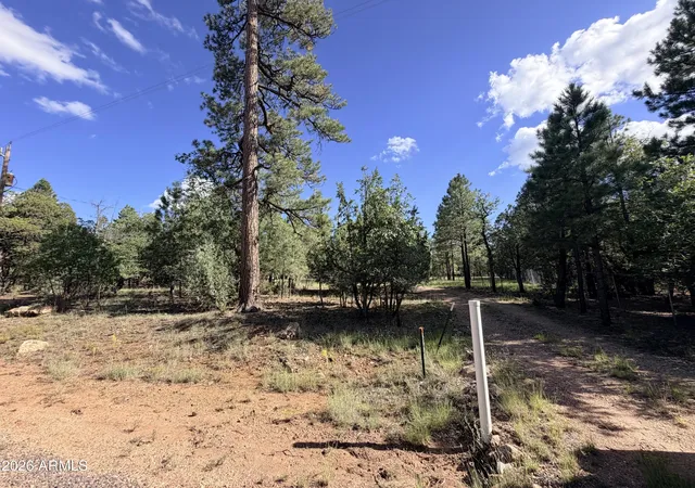 Photo 2 of Sale Pending at 5808 Pine Needle Dr #225, Happy Jack, AZ 86024 | MLS# 7076412 | Listing updated on 2026-09-07