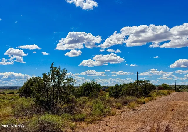 Photo 3 of Sale Pending at 0 Hay Holw Rd 20 Acres, Snowflake, AZ 85937 | MLS# 7076431 | Listing updated on 2026-09-23