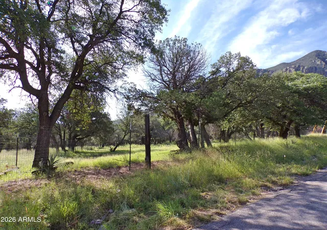 Photo 3 of Land for sale at 0 E Ransey Cyn Rd, Hereford, AZ 85615 | MLS# 7076657 | Listing updated on 2026-09-08