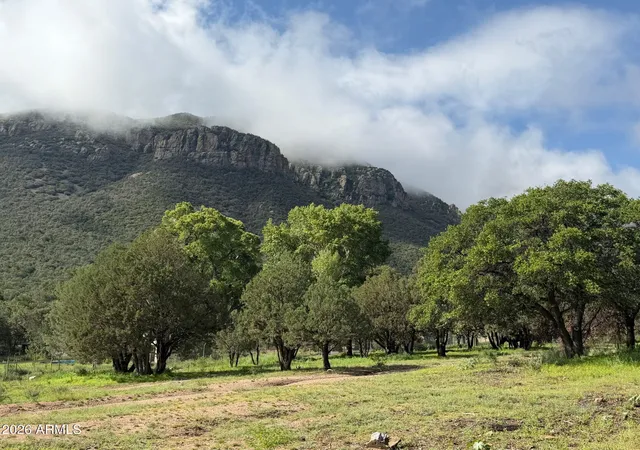 Photo 3 of Land for sale at 0 E Ransey Cyn Rd, Hereford, AZ 85615 | MLS# 7076657 | Listing updated on 2026-09-08