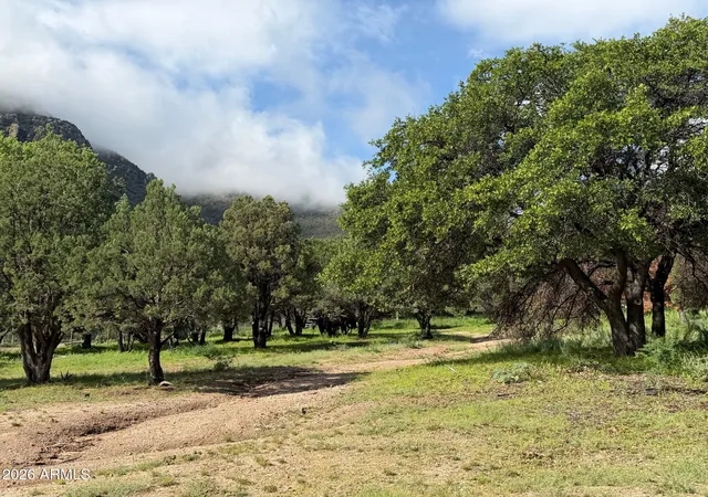 Photo 4 of Land for sale at 0 E Ransey Cyn Rd, Hereford, AZ 85615 | MLS# 7076657 | Listing updated on 2026-09-08