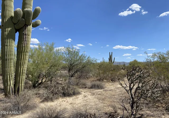 Photo 3 of Land for sale at +/-40acres E Davis Ranch Rd, Marana, AZ 85658 | MLS# 7077001 | Listing updated on 2026-09-07