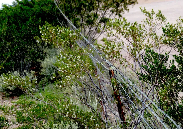 Photo 3 of Land for sale at Lot S C Tbd Foudy Rd #P/C, Bisbee, AZ 85603 | MLS# 7077186 | Listing updated on 2026-09-16