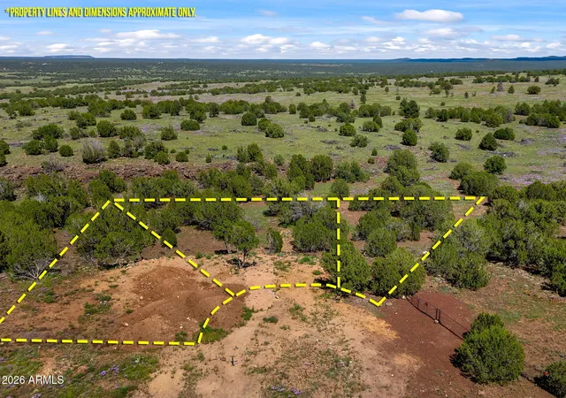 Land for sale at 8796 Luana Dr #122, Show Low, AZ 85901 | MLS# 7077675