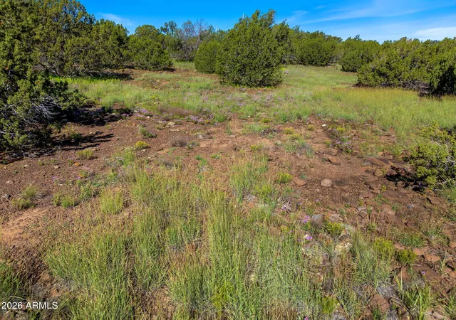 Photo 2 of Land for sale at 8796 Luana Dr #122, Show Low, AZ 85901 | MLS# 7077675 | Listing updated on 2026-10-05