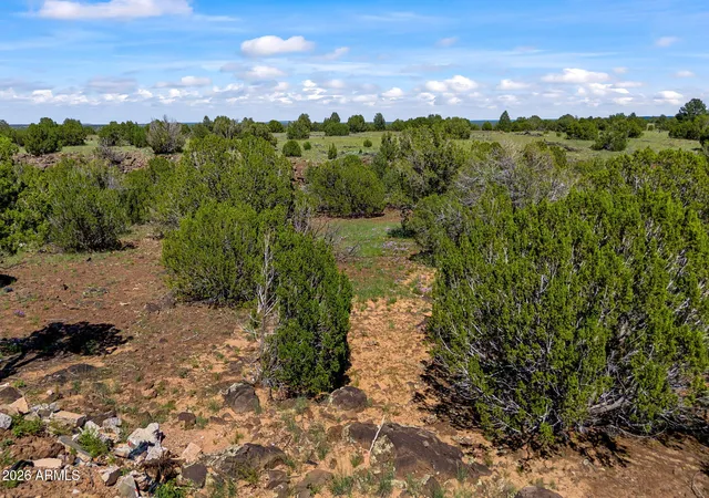 Photo 31 of Land for sale at 8796 Luana Dr #122, Show Low, AZ 85901 | MLS# 7077675 | Listing updated on 2026-10-05