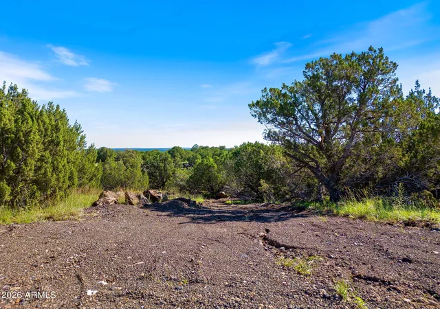 Photo 2 of Land for sale at 8788 Andrea Pl #105, Show Low, AZ 85901 | MLS# 7077849 | Listing updated on 2026-09-10