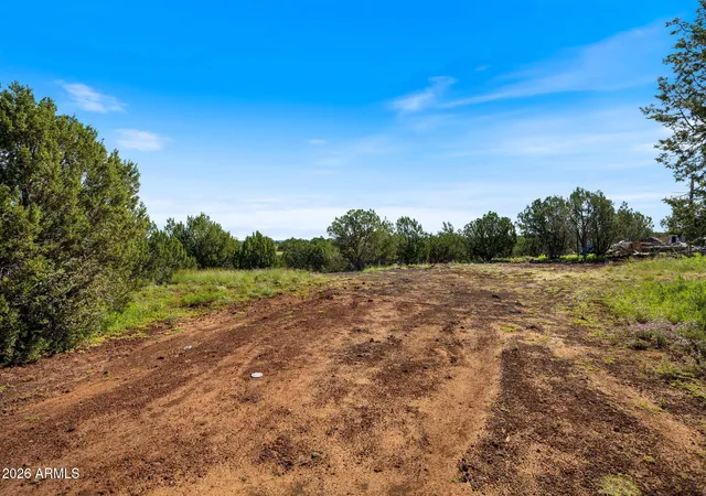 Photo 3 of Land for sale at 8788 Andrea Pl #105, Show Low, AZ 85901 | MLS# 7077849 | Listing updated on 2026-09-10