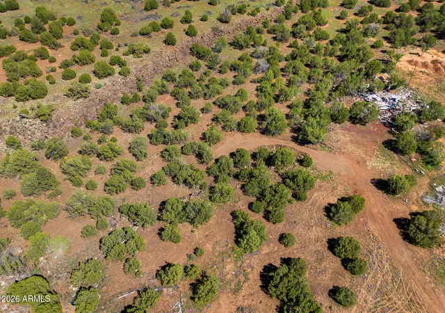 Photo 4 of Land for sale at 8788 Andrea Pl #105, Show Low, AZ 85901 | MLS# 7077849 | Listing updated on 2026-09-10