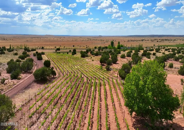 Photo 2 of Mansion for sale at 14 Cr 5309, Concho, AZ 85924 | MLS# 7078309 | Listing updated on 2026-10-01
