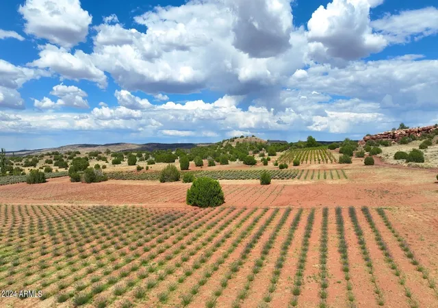 Photo 4 of Single family home for sale at 14 Cr 5309, Concho, AZ 85924 | MLS# 7078309 | Listing updated on 2026-10-01