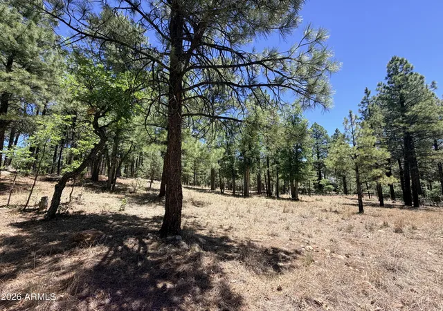 Photo 1 of Land for sale at 4215 Apache Dr #428, Happy Jack, AZ 86024 | MLS# 7079428 | Listing updated on 2026-09-12