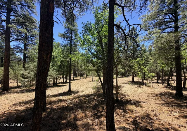 Photo 2 of Land for sale at 4215 Apache Dr #428, Happy Jack, AZ 86024 | MLS# 7079428 | Listing updated on 2026-09-12