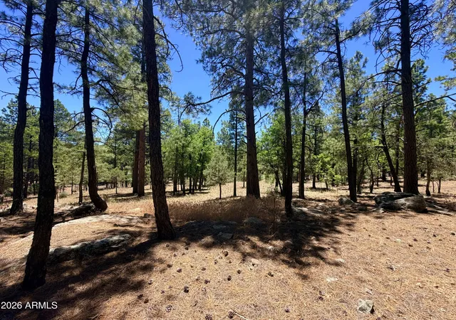 Photo 3 of Land for sale at 4215 Apache Dr #428, Happy Jack, AZ 86024 | MLS# 7079428 | Listing updated on 2026-09-12