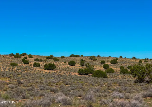 Photo 3 of Land for sale at Tbd County Rd N7009, Chambers, AZ 86502 | MLS# 7078950 | Listing updated on 2026-09-16