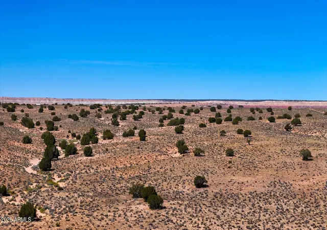 Photo 4 of Land for sale at Tbd County Rd N7009, Chambers, AZ 86502 | MLS# 7078950 | Listing updated on 2026-09-16