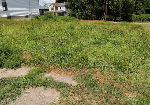 Photo 4 of Land for sale at 1437 & 1439 Oregon Ave, Steubenville, OH 43952 | MLS# 5152837 | Listing updated on 2026-09-02