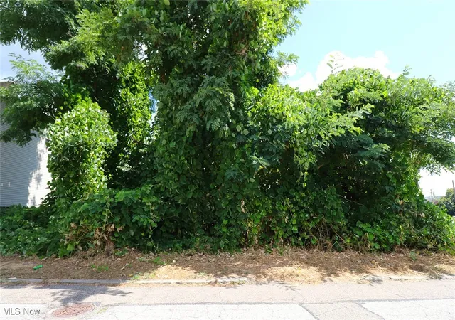 Photo 1 of Land for sale at 128 Butte St, Steubenville, OH 43952 | MLS# 5152840 | Listing updated on 2026-09-02