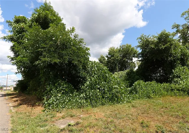 Photo 2 of Land for sale at 128 Butte St, Steubenville, OH 43952 | MLS# 5152840 | Listing updated on 2026-09-02