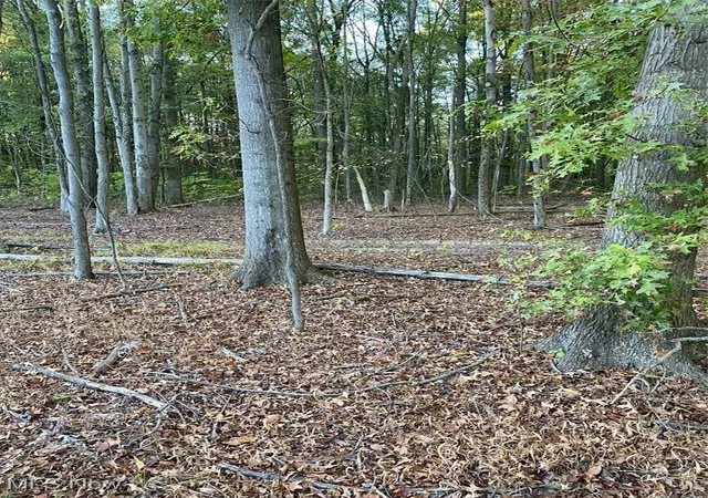 Photo 11 of Land for sale at Maplewood Ave, Lake Milton, OH 44429 | MLS# 5163033 | Listing updated on 2026-09-10