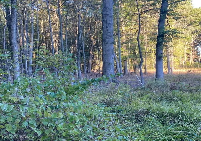Photo 2 of Land for sale at Maplewood Ave, Lake Milton, OH 44429 | MLS# 5163033 | Listing updated on 2026-09-10