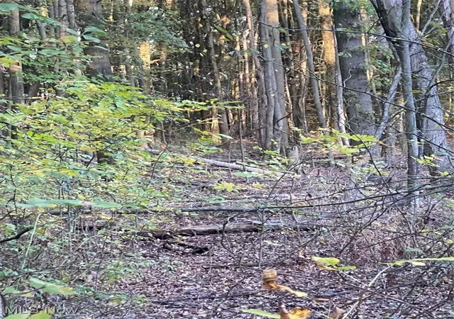 Photo 3 of Land for sale at Maplewood Ave, Lake Milton, OH 44429 | MLS# 5163033 | Listing updated on 2026-09-10
