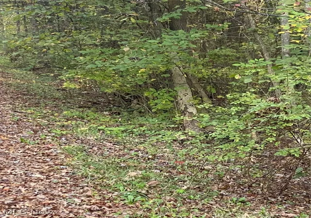 Photo 3 of Land for sale at Maplewood Ave, Lake Milton, OH 44429 | MLS# 5163033 | Listing updated on 2026-09-10