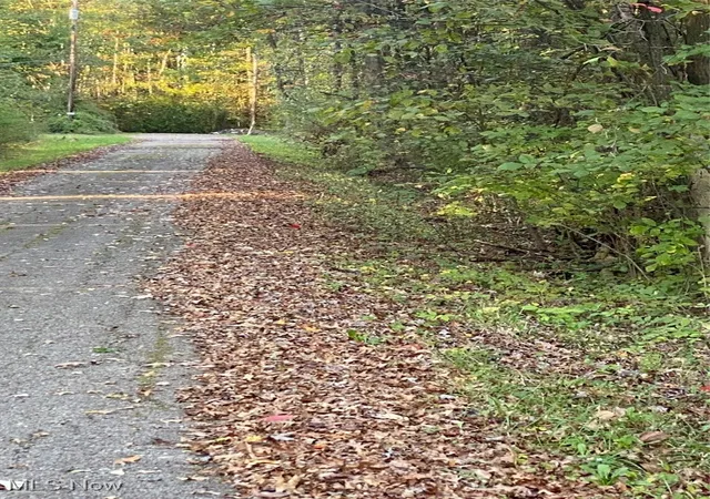 Photo 4 of Land for sale at Maplewood Ave, Lake Milton, OH 44429 | MLS# 5163033 | Listing updated on 2026-09-10