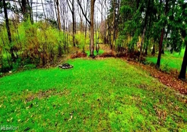 Photo 3 of Land for sale at River Rd, Olmsted Falls, OH 44138 | MLS# 5169658 | Listing updated on 2026-09-08