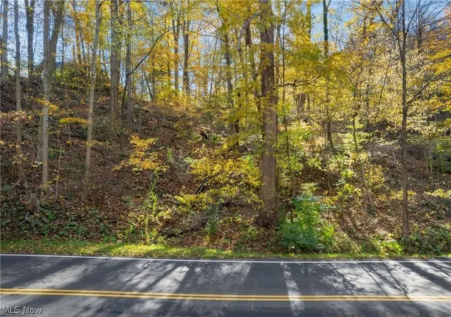 Photo 3 of Land for sale at 1500 N Revere Rd, Akron, OH 44333 | MLS# 5171227 | Listing updated on 2026-09-02