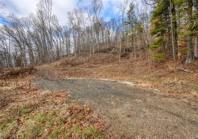 Photo 3 of Land for sale at 7321 Glenn Hwy, Cambridge, OH 43725 | MLS# 5177197 | Listing updated on 2026-09-23