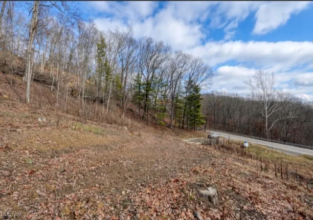 Photo 3 of Land for sale at 7321 Glenn Hwy, Cambridge, OH 43725 | MLS# 5177197 | Listing updated on 2026-09-23