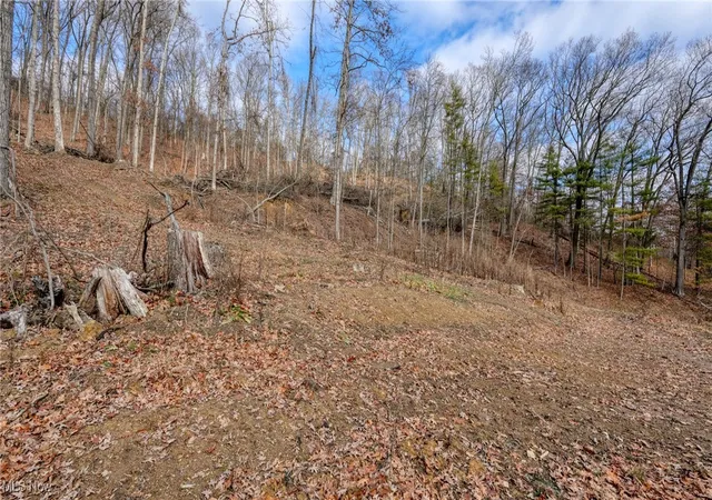 Photo 4 of Land for sale at 7321 Glenn Hwy, Cambridge, OH 43725 | MLS# 5177197 | Listing updated on 2026-09-23
