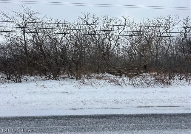 Photo 1 of Land for sale at V/l Leroy Ctr Rd, Leroy, OH 44077 | MLS# 5181063 | Listing updated on 2026-10-01