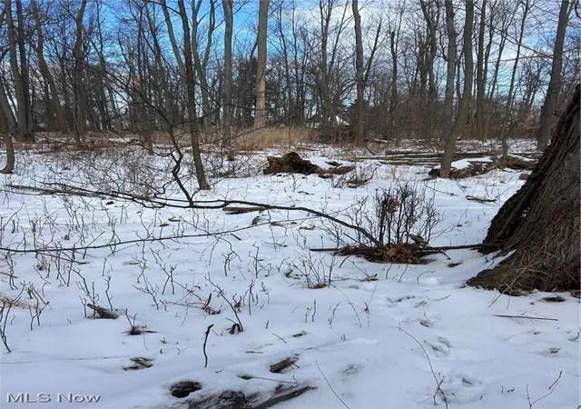 Photo 7 of Land for sale at 7494 Salida Rd, Mentor On The Lake, OH 44060 | MLS# 5181393 | Listing updated on 2026-09-05