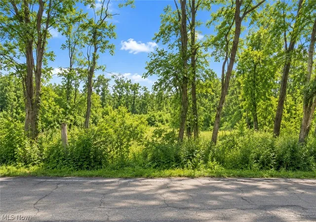 Photo 2 of Land for sale at Lane Rd SW, Warren, OH 44481 | MLS# 5189603 | Listing updated on 2026-09-09
