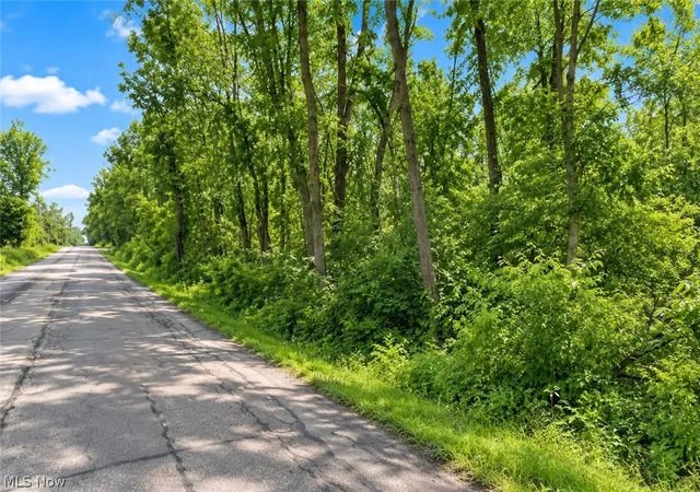 Photo 3 of Land for sale at Lane Rd SW, Warren, OH 44481 | MLS# 5189603 | Listing updated on 2026-09-09