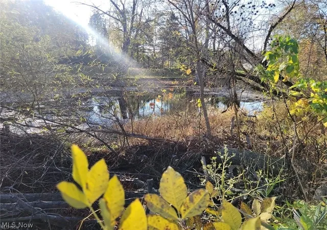 Photo 1 of Land for sale at V/l E Ave, Elyria, OH 44035 | MLS# 5193131 | Listing updated on 2026-09-11