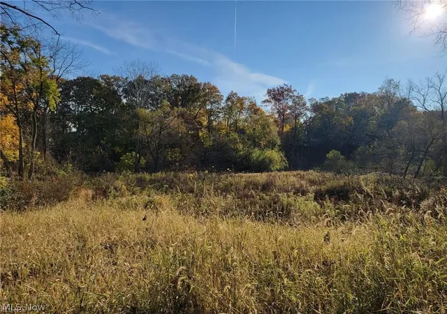 Photo 2 of Land for sale at V/l E Ave, Elyria, OH 44035 | MLS# 5193131 | Listing updated on 2026-09-11