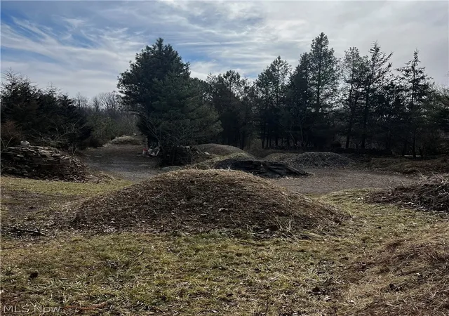 Photo 1 of Land for sale at 6589 Hathaway Rd, Cleveland, OH 44125 | MLS# 5193728 | Listing updated on 2026-09-14