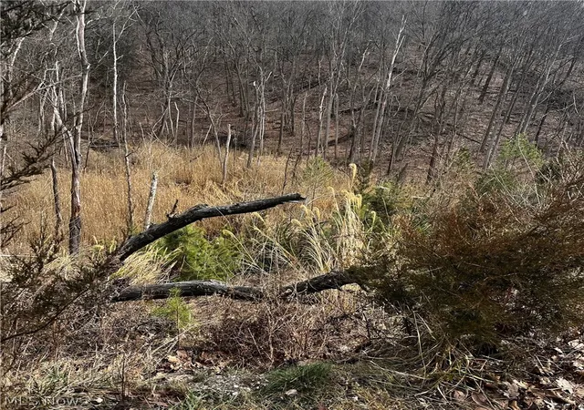 Photo 3 of Land for sale at 6589 Hathaway Rd, Cleveland, OH 44125 | MLS# 5193728 | Listing updated on 2026-09-14