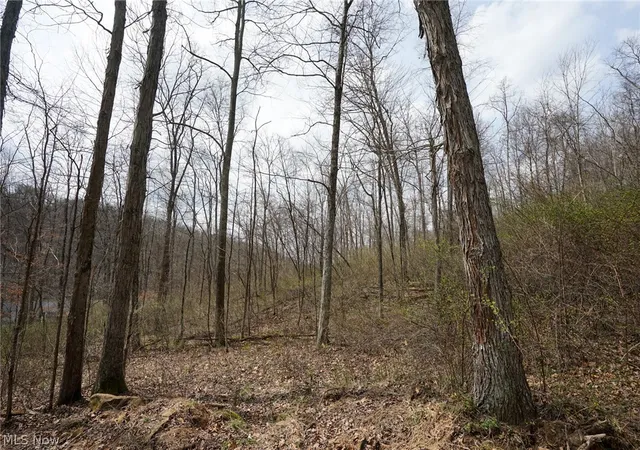 Photo 48 of Land for sale at Mckee Hl Rd, Frazeysburg, OH 43822 | MLS# 5199195 | Listing updated on 2026-09-04