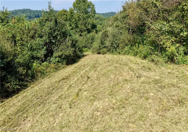 Photo 4 of Land for sale at 0 Harrons Ridge Rd, Dexter City, OH 45727 | MLS# 5203496 | Listing updated on 2026-09-09