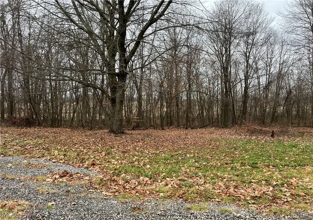 Photo 3 of Single family home for sale at 31293 Speidel Rd, Hanoverton, OH 44423 | MLS# 5205370 | Listing updated on 2026-09-09