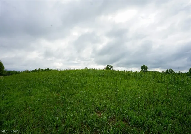 Photo 3 of Land for sale at Van Fossen Ln, Chesterhill, OH 43728 | MLS# 5206693 | Listing updated on 2026-09-04