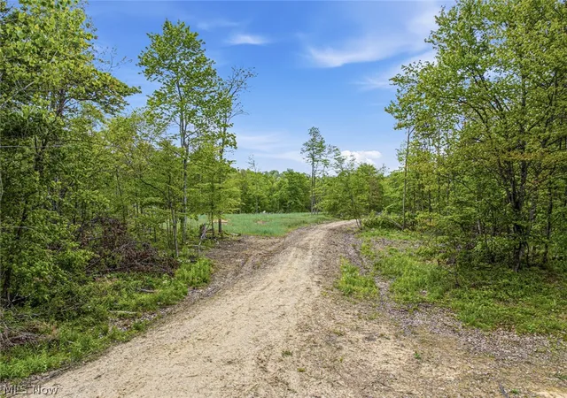 Photo 4 of Land for sale at 69 Acres Newlon Rd, Malta, OH 43758 | MLS# 5207161 | Listing updated on 2026-09-08