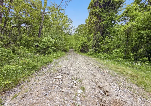 Photo 3 of Land for sale at 95 Acres Newlon Rd, Malta, OH 43758 | MLS# 5207163 | Listing updated on 2026-09-08