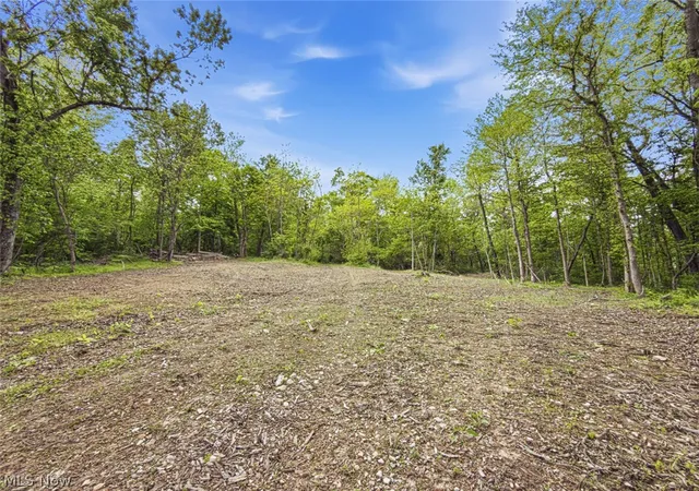 Photo 4 of Land for sale at 95 Acres Newlon Rd, Malta, OH 43758 | MLS# 5207163 | Listing updated on 2026-09-08