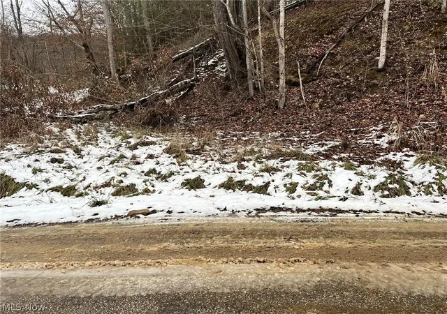Photo 1 of Sale Pending at Rt 29/1 Grannies Crk Rd, Clendenin, WV 25266 | MLS# 5203169 | Listing updated on 2026-09-29